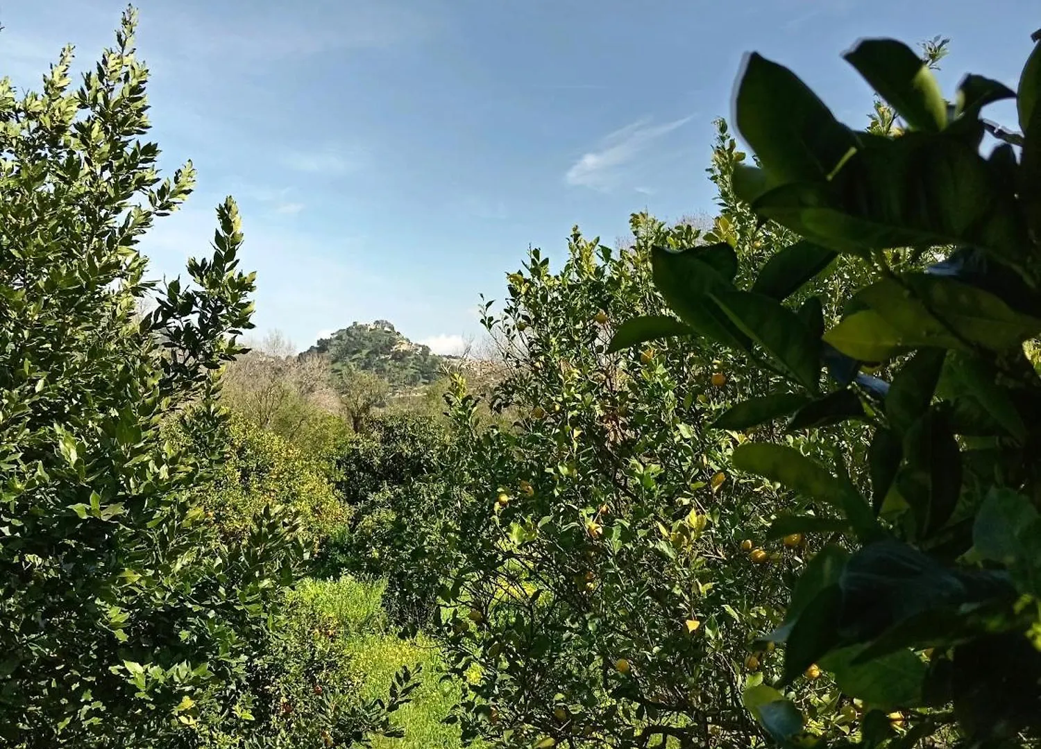 Casa Gelferraro Holiday home Calatafimi